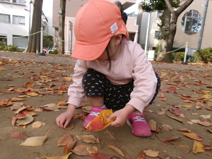 落ち葉を拾う3歳児