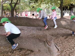 木登りをする子ども