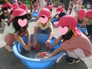 お芋洗い