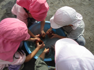 子どもたちがいもを洗う様子