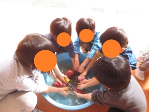 子どもたちがいもを洗う様子