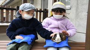 写真(3)