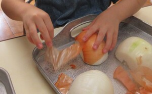 食育活動の写真