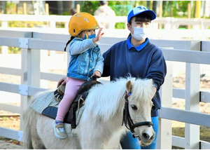 乗馬体験をする幼児の写真