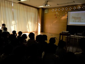 集会で十二支のお話を聞いている子どもの姿です。
