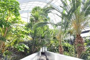 令和3年4月日 区立熱帯環境植物館リフレッシュオープン 板橋区公式ホームページ