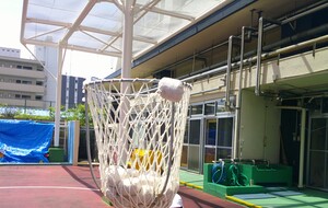 子どもたちが玉入れを行う様子