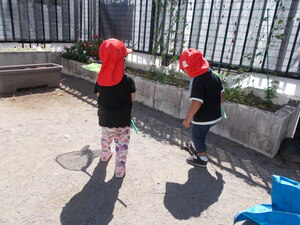 写真：子どもが虫取り網で虫を捕まえているところ