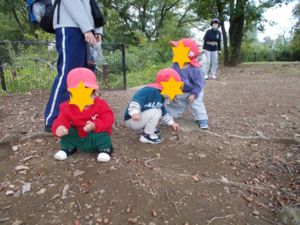 写真:どんぐりを拾う子どもたち