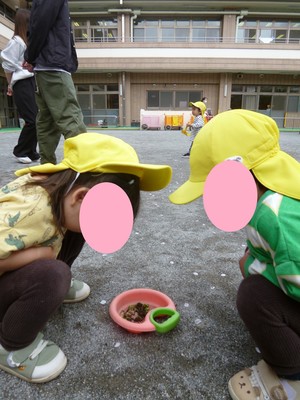 乳児園庭の様子