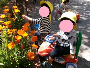 乳児園庭の様子