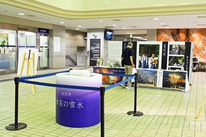 サムネイル：一般展示