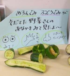 野菜を切って中がどうなっているか観察したり、においを嗅いだり、五感を使って体感しました。