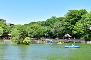 見次公園内の写真を掲載しています。