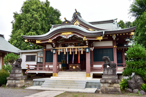 赤塚氷川神社の写真