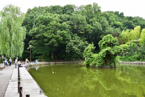 赤塚溜池公園の写真