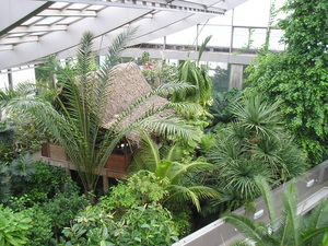 熱帯環境植物館内の写真