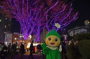 サムネイル:イルミネーション