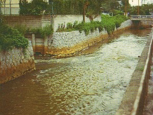 昭和46年頃の出井川