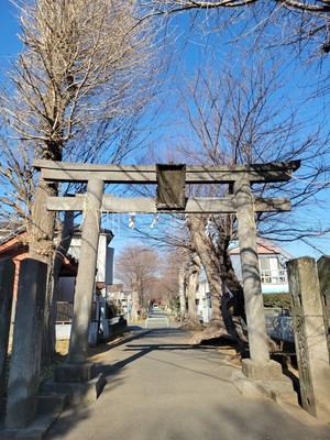 建物写真：赤塚氷川神社
