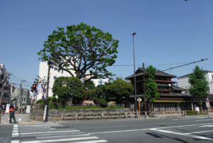 建物写真：齋藤商店と志村一里塚
