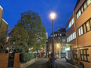 街灯の写真2