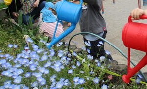 花に水やりしている様子