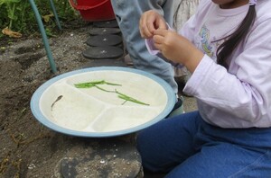 自然物で遊んでいるところ