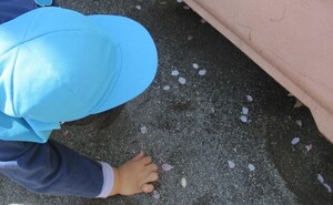 虫を探しているところ