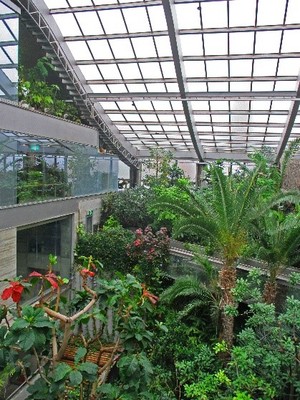 板橋区立熱帯環境植物館の様子