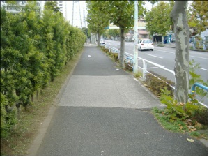 写真:整備前