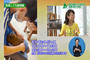 サムネイル:かわいいと絶賛するもとこさん