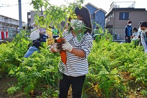 写真：収穫体験