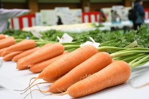 写真：野菜の展示会