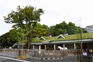 サムネイル:こども動物園