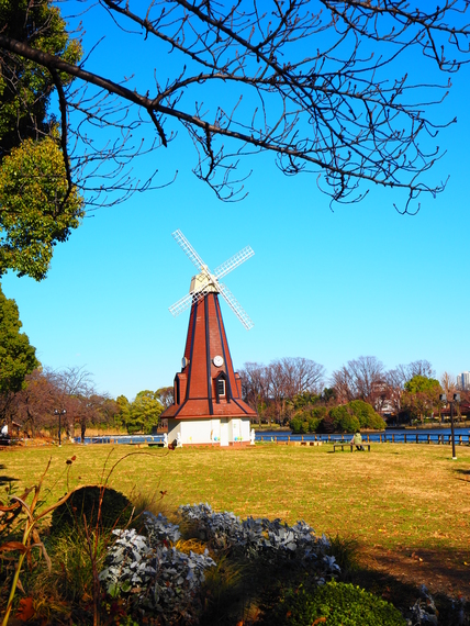 浮間公園の風車の遠景写真