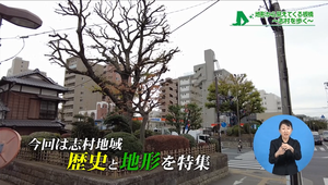 オープニング