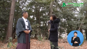 鎮守の森