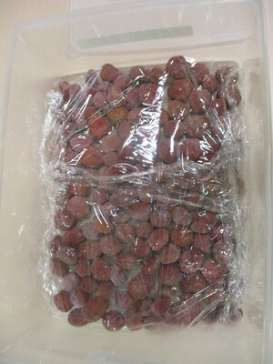 梅干し出来上がり