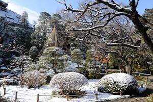 雪の日の日本庭園