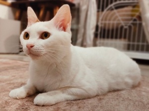 令和6年度1番