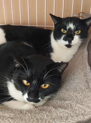 令和7年度146番、147番