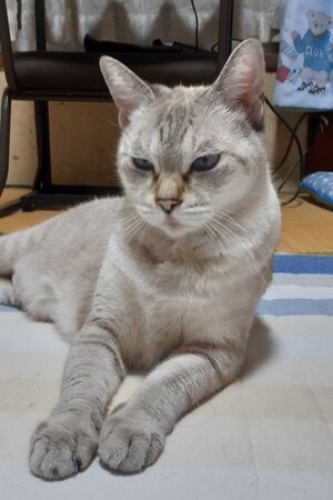 令和7年度74番