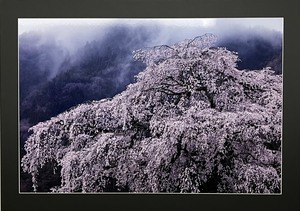 令和6年12月-3月｜板橋区公式ホームページ