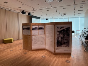 展示の様子