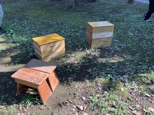 アップサイクル