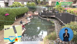 いたちょこ7