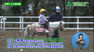 癒しスポット2