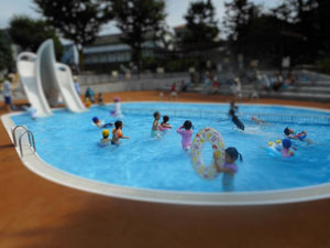 写真：子供の池の写真