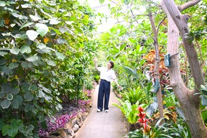 植物園